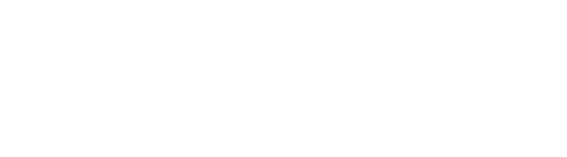 Borner BPO